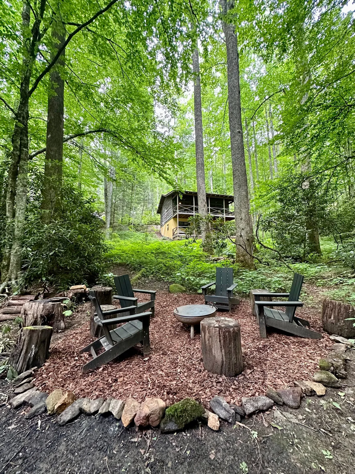 An inviting fire pit ringed with wooden chairs, set amidst towering trees with the cabin visible in the background. The scene is cozy and communal, suggesting gatherings under the stars or quiet evenings by the fire.