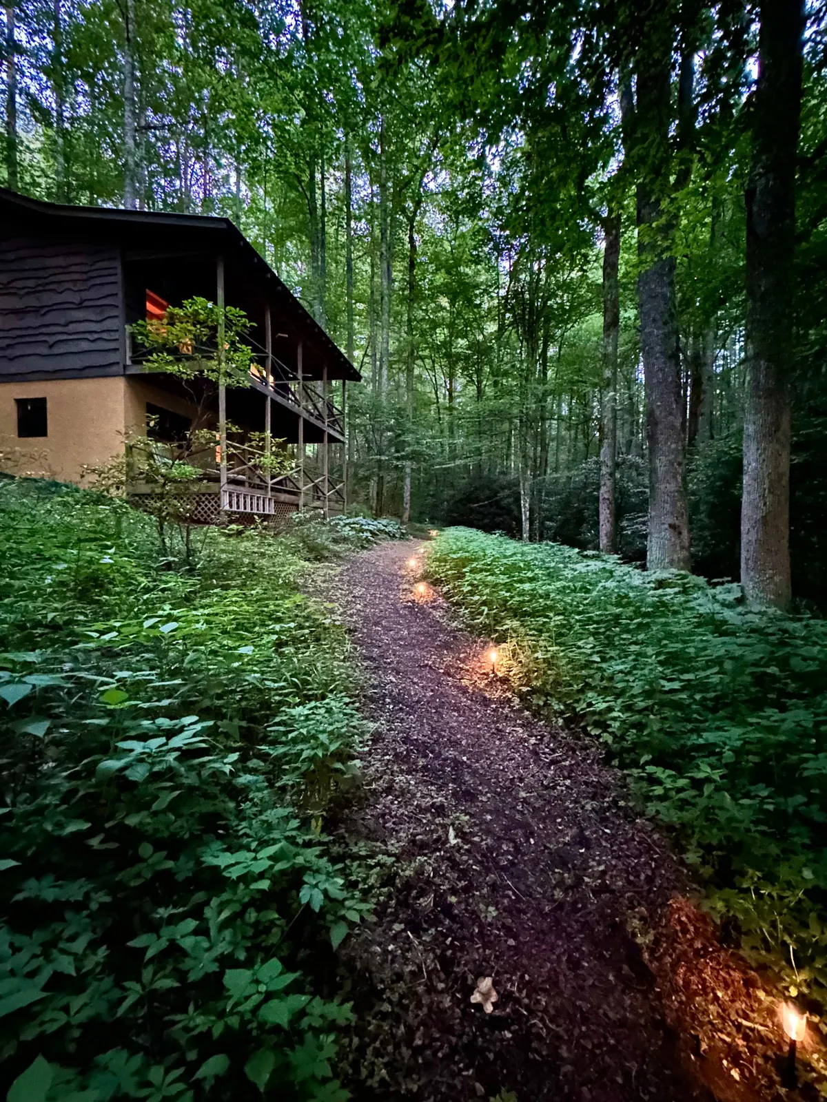 A softly illuminated pathway leads through the trees to a secluded cabin nestled in the forest. The surrounding environment is peaceful and inviting, ideal for evening walks, wildlife spotting, and soaking in the quiet ambiance of the woods.