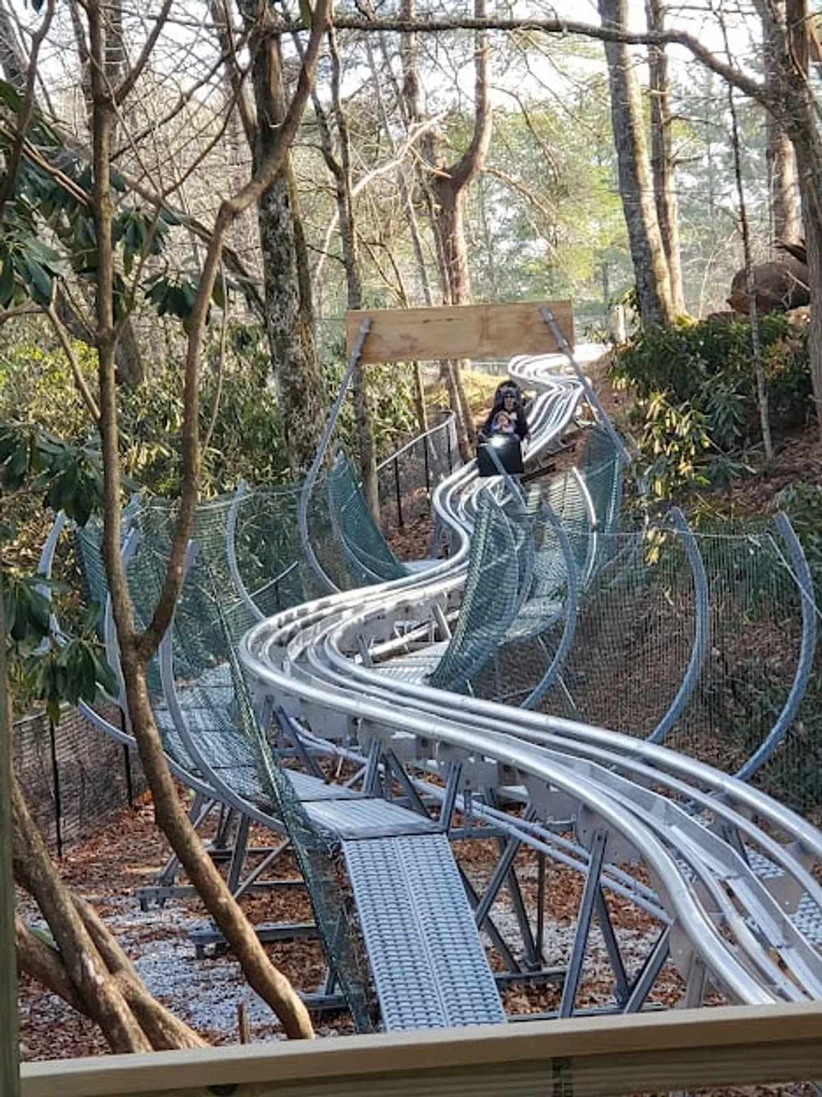 This image captures the thrilling moment of a rider zipping down a twisting mountain coaster track, surrounded by a dense canopy of trees. The excitement of the ride is emphasized by the focus on the coaster and the natural backdrop, which hints at immersive outdoor adventure.